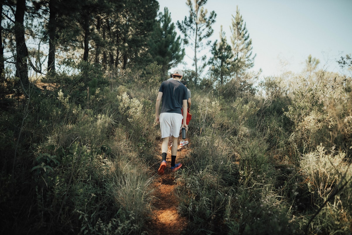 Gestion du temps et productivité saine